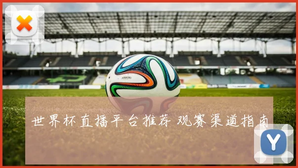 世界杯直播平台推荐 观赛渠道指南
