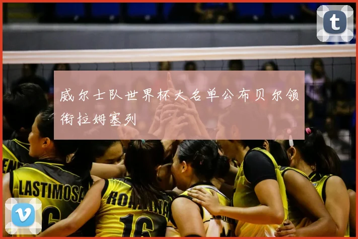 威尔士队世界杯大名单公布贝尔领衔拉姆塞列