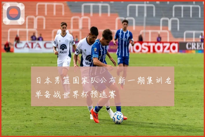 日本男篮国家队公布新一期集训名单备战世界杯预选赛