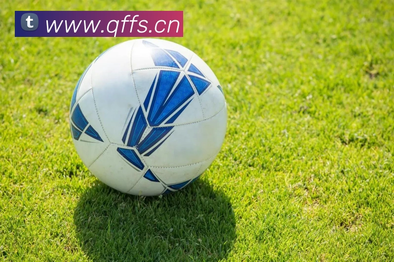 开云手机登录官网发展历程